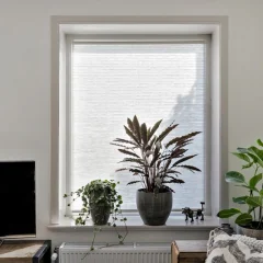 Woning | kunststof bloemkozijn | Creme / wit