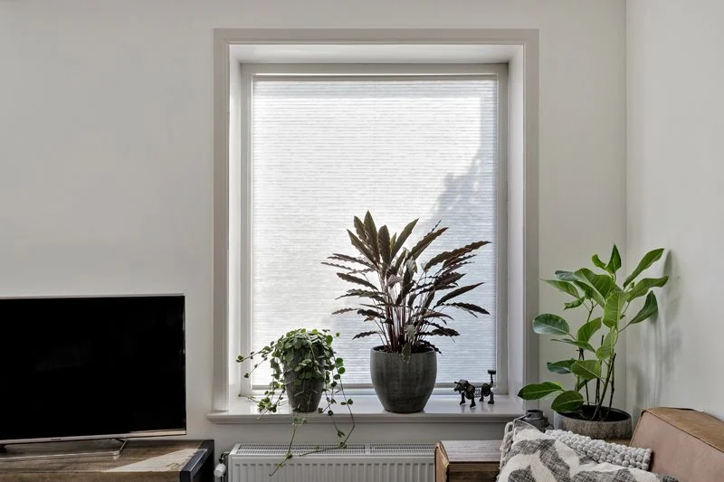 Woning | kunststof bloemkozijn | Creme / wit